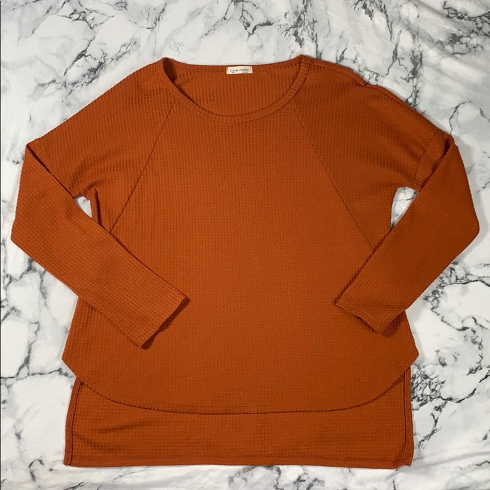Burnt Orange Sweater top